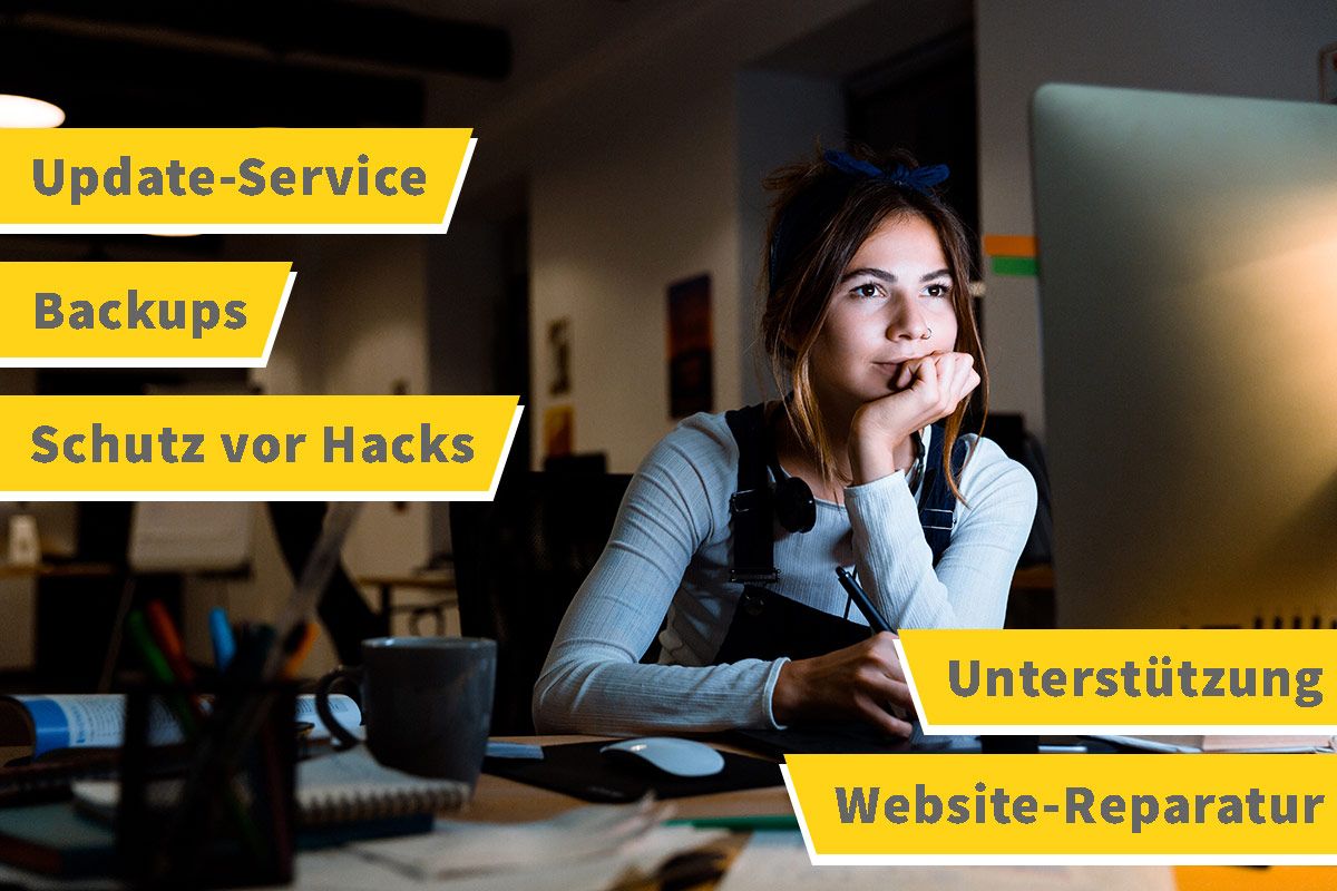 WordPress Update Service